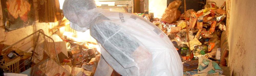 Hoarders’ Helpers